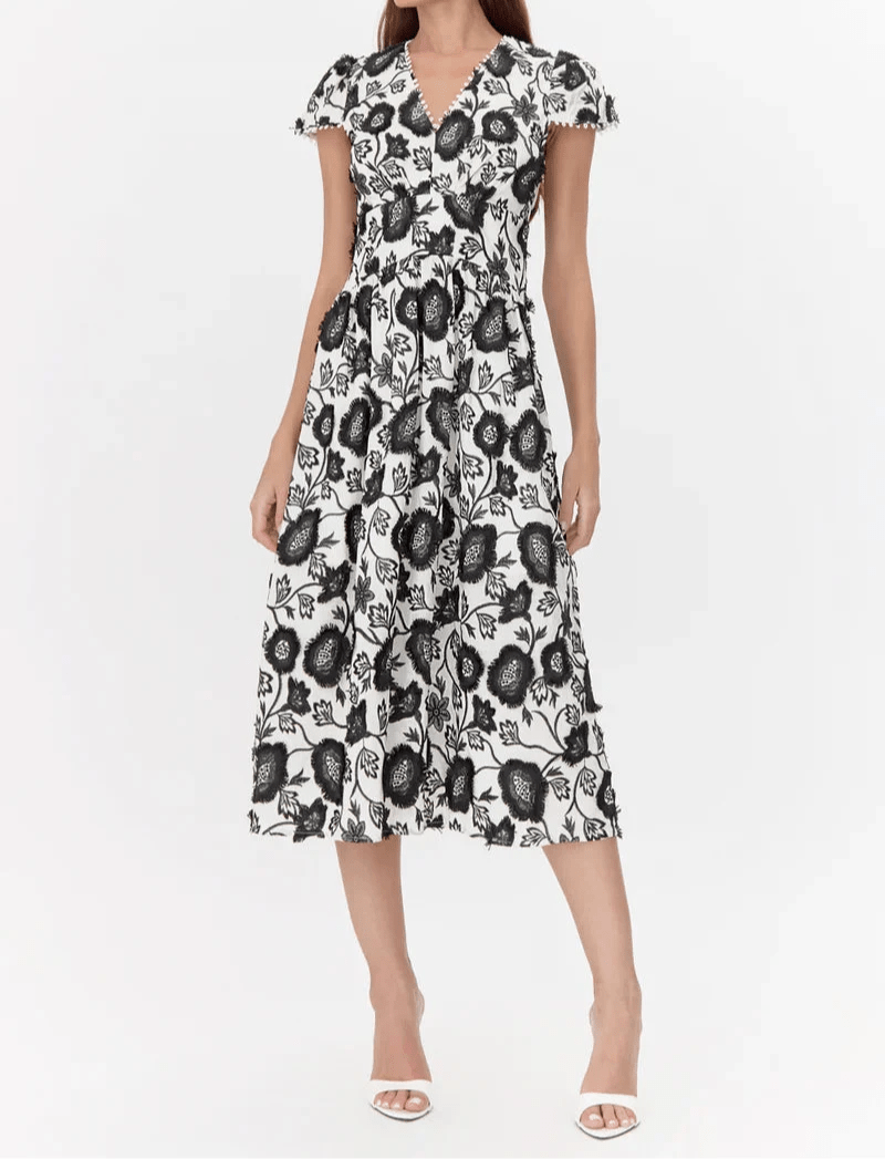 Adelyn Rae Nori 3D embroidered midi dress in black and ivory, front full-length view